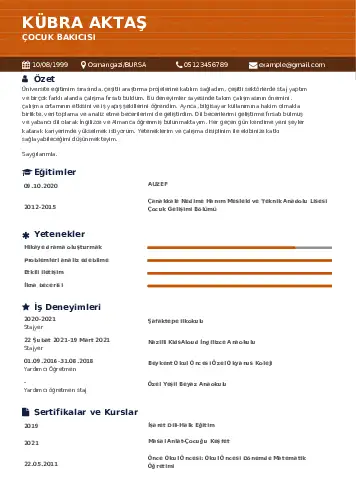 cv indir